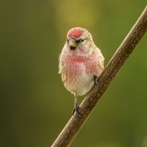 Untitled (140 Of 343).jpg